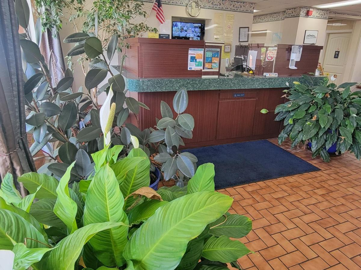 Studio 9 Inn & Suites Дикейтър Екстериор снимка